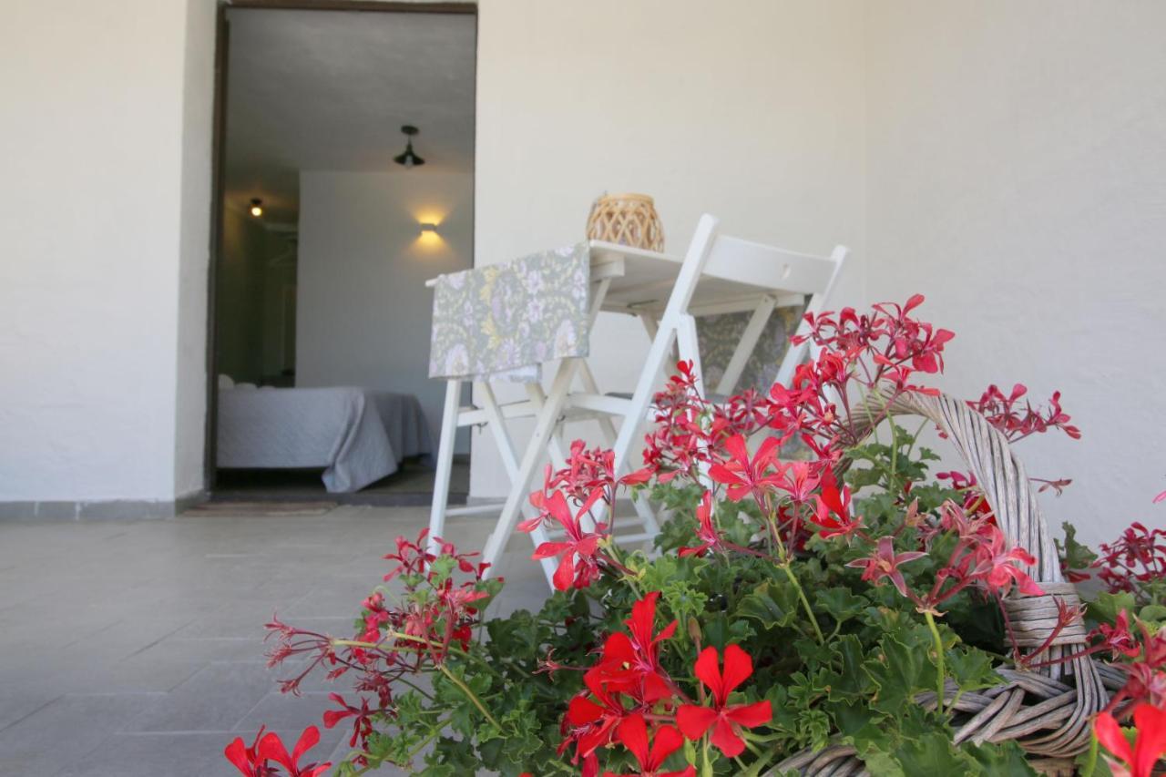 Bnb Anacleto Bassacutena Extérieur photo