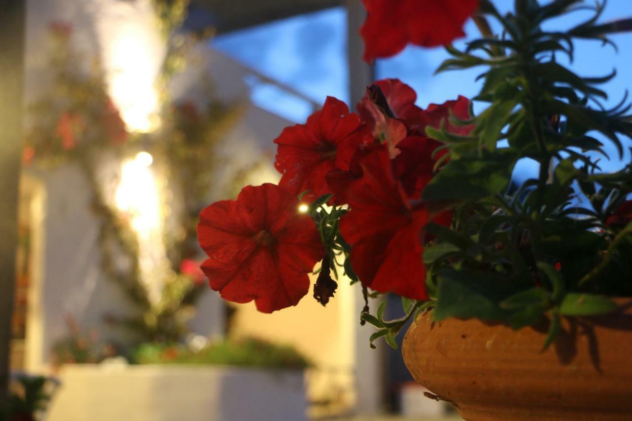 Bnb Anacleto Bassacutena Extérieur photo